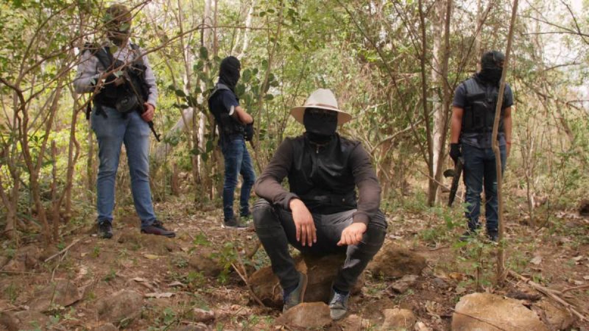La violencia del narco, en La 2