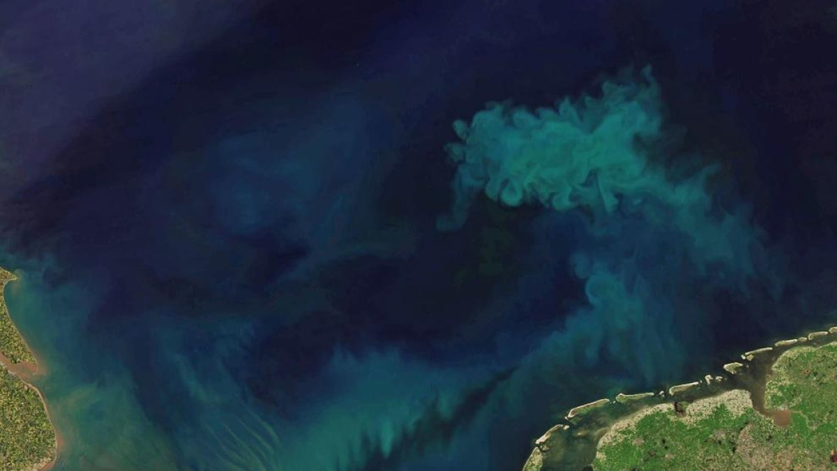 En los últimos veinte años el color del océano ha cambiado significativamente