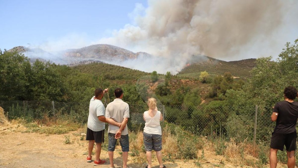 Incendi forestal a Baldomar