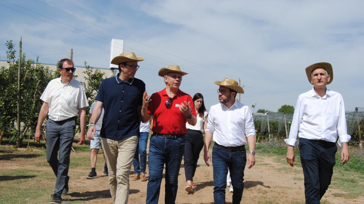 El President visitó la finca experimental del IRTA en Mollerussa.