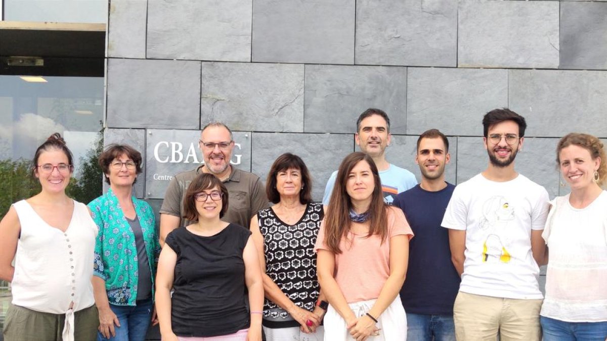 L'equip de l'àrea de Diabetis i Malalties Metabòliques Associades del CIBER (CIBERDEM).