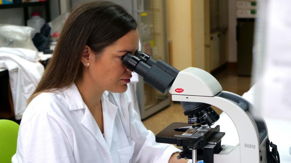 Identifican una nueva diana terapéutica que podría frenar el Alzheimer