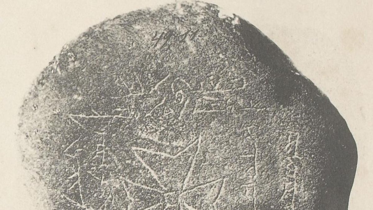 Identifiquen els orígens de la Pesta Negra, la pandèmia més important de la història