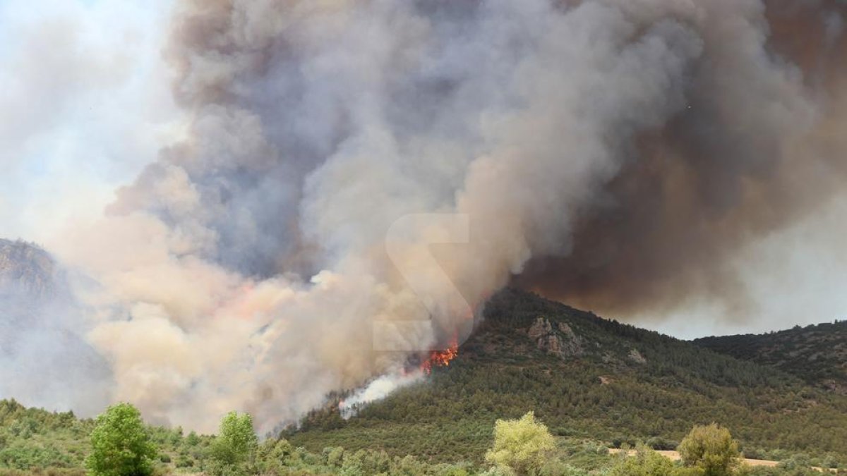 Incendio forestal en Baldomar