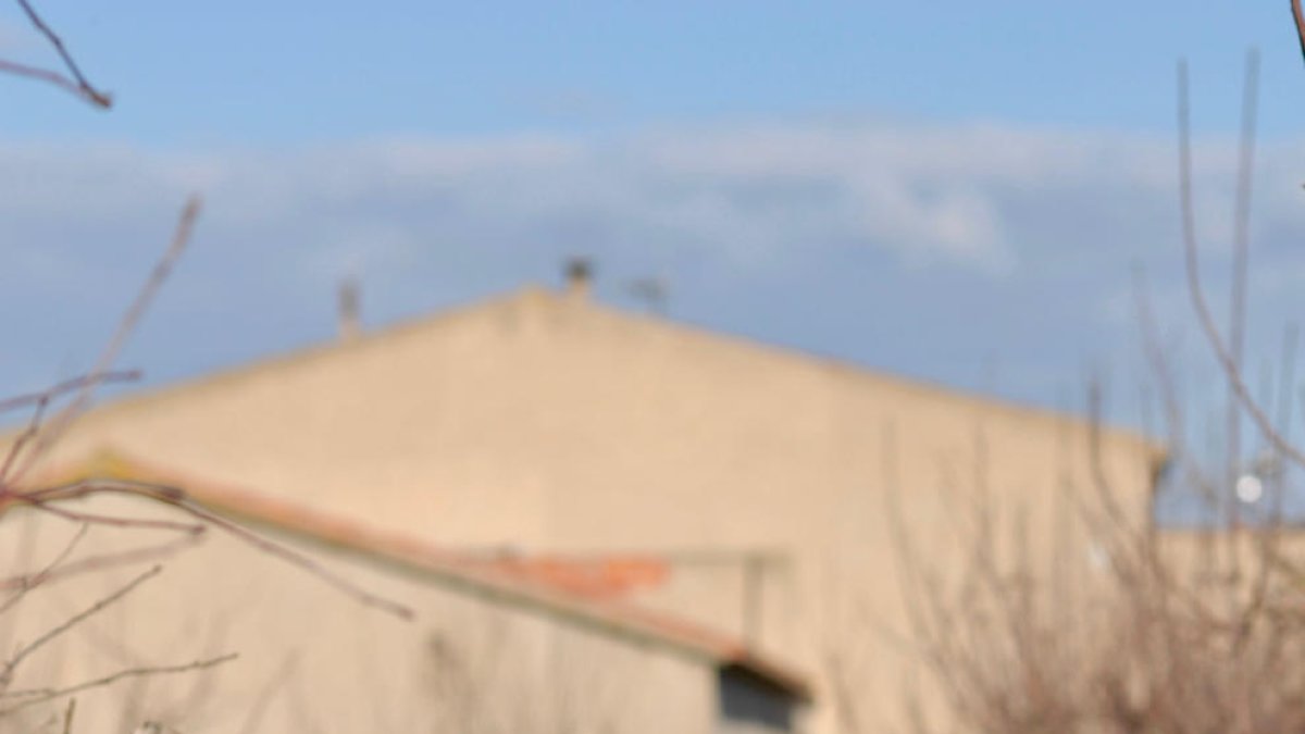 «La literatura del futur es consumirà més en pantalles»