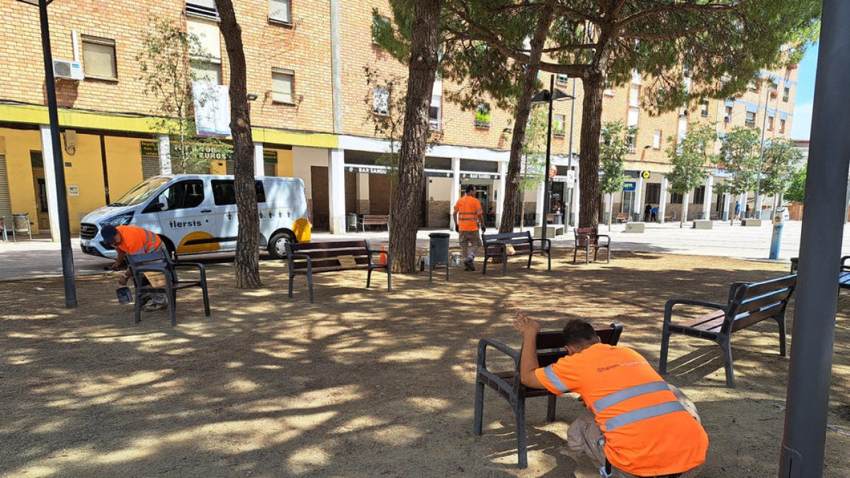Un grupo de operarios adecentan y repintan los bancos de la plaza de Sant Pere, ayer en el Secà.