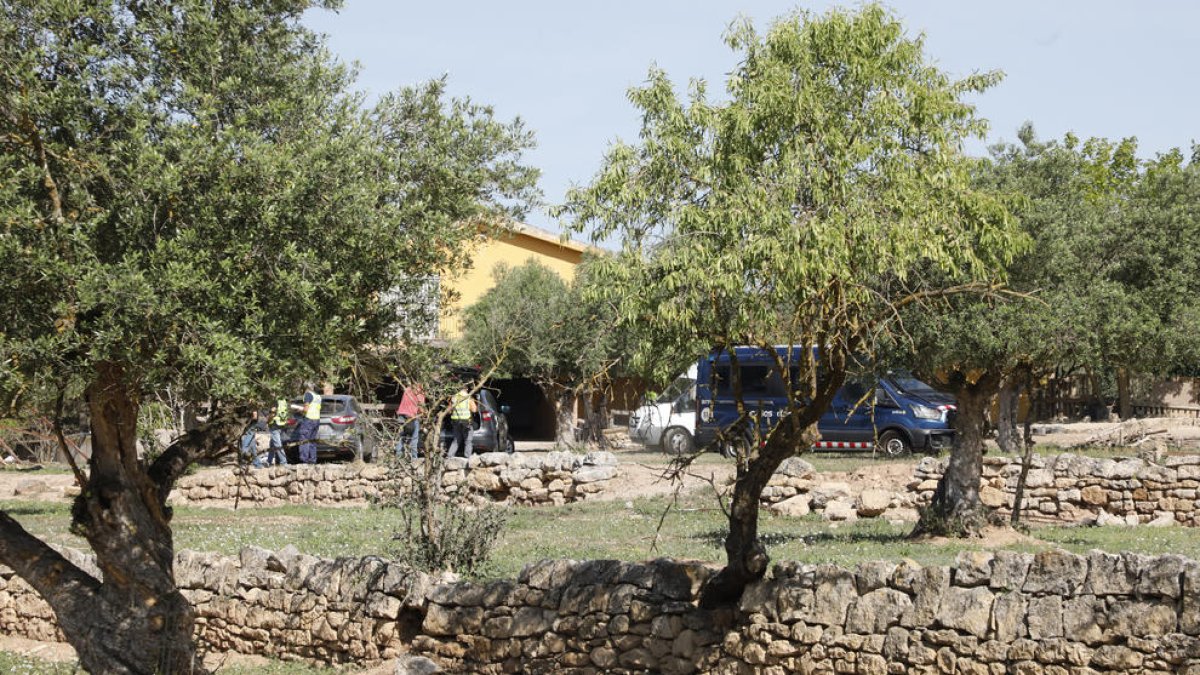 Los Mossos d’Esquadra ayer por la mañana en la casa de L’Albi en la que había una plantación de marihuana.