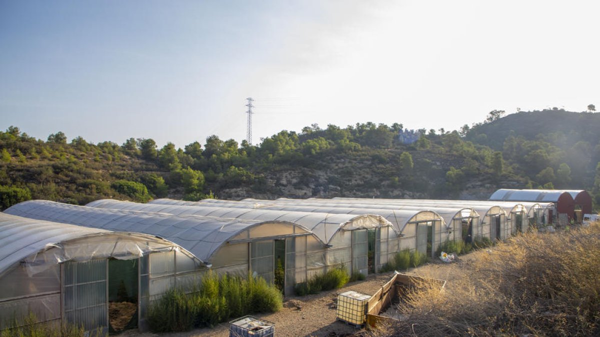 La finca és en una zona de difícil accés envoltada de boscos a 10 quilòmetres d'Almatret.