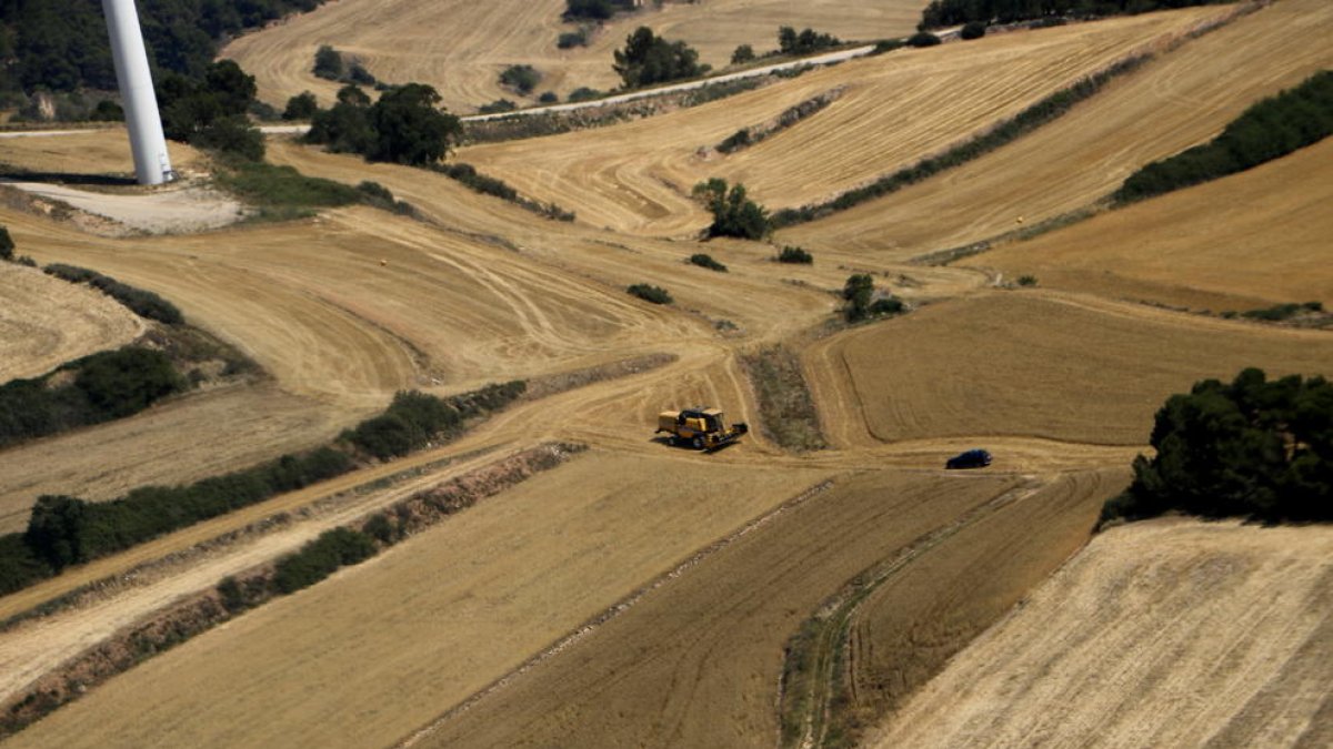 Menys incendis relacionats amb la sega tot i les condicions complicades de la campanya
