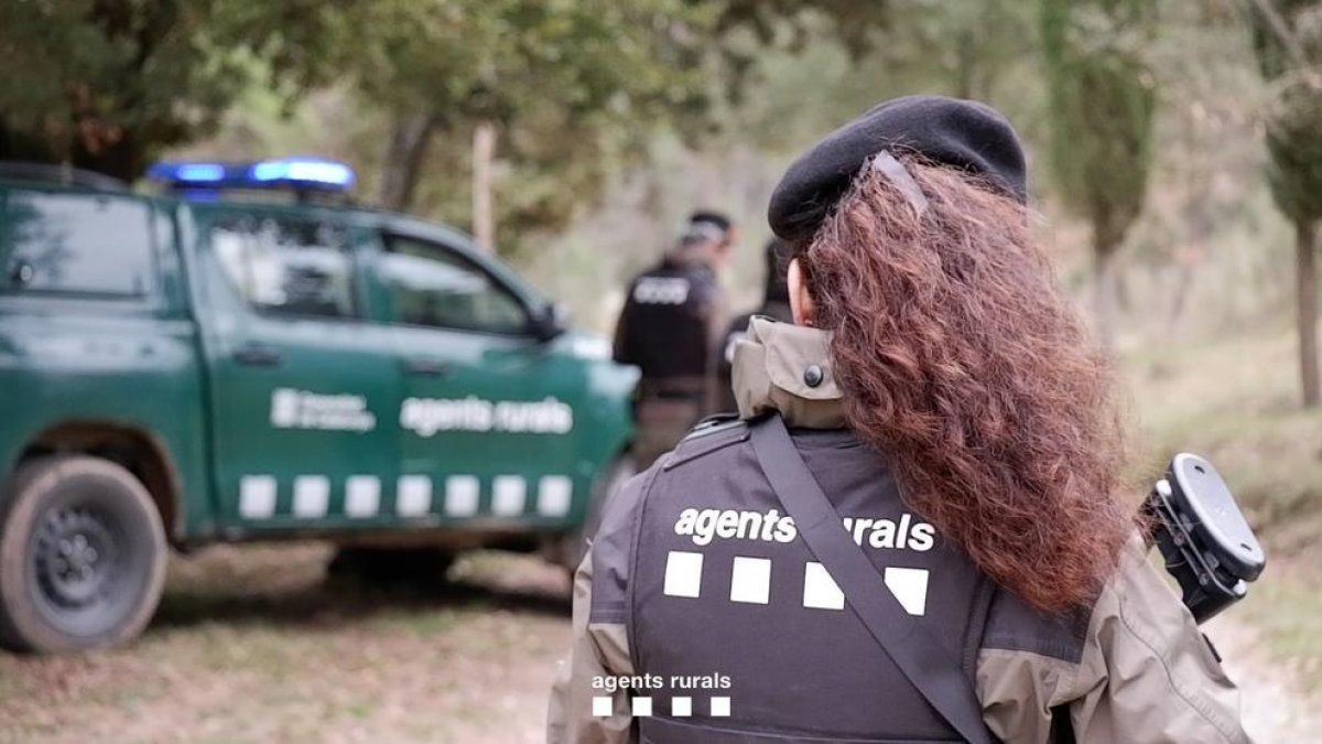 Denuncien una persona per un delicte contra la fauna i ús de mètodes de caça prohibits al Sobirà