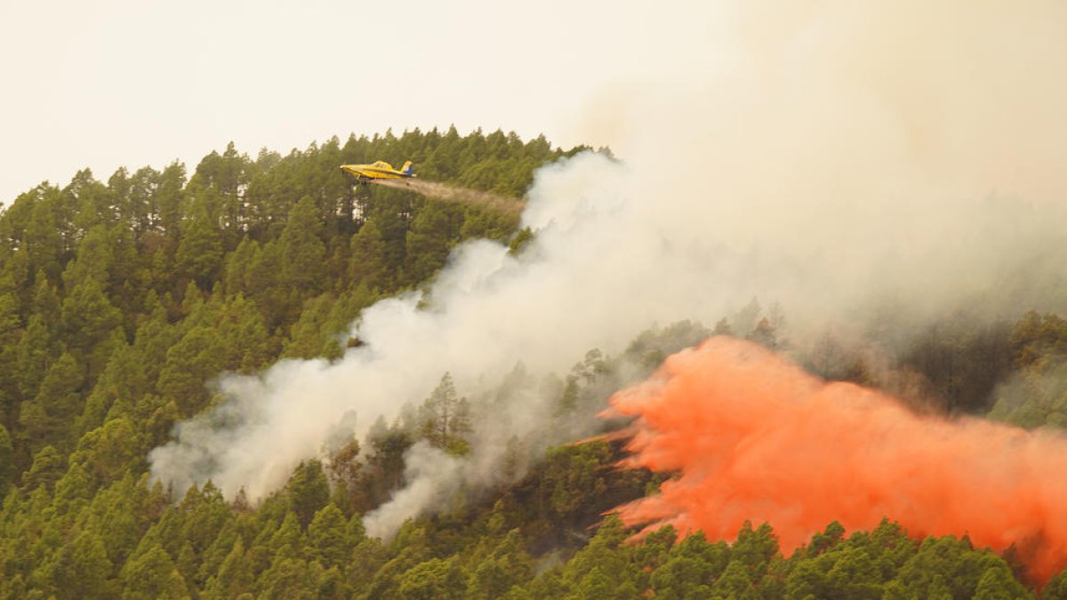 La virulència de les flames ha obligat al tall total d’accessos al Teide.