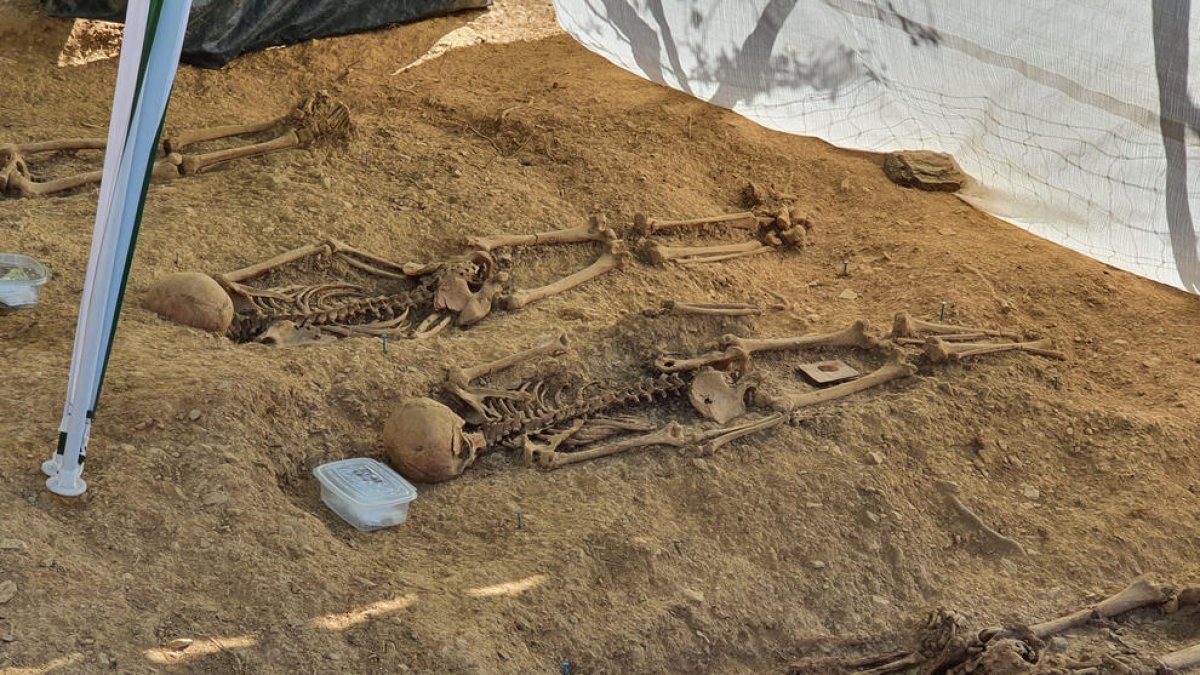 Los arqueólogos han exhumado cuatro de los seis cuerpos localizados por el momento.