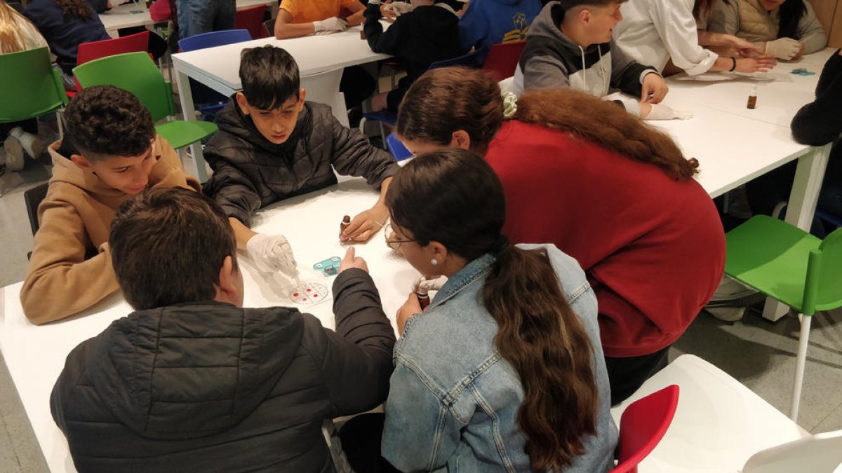 Alumnos de la Escola Sant Jaume-les Heures y del Torrevincens participando en los talleres cientificos en el IRBLleida.