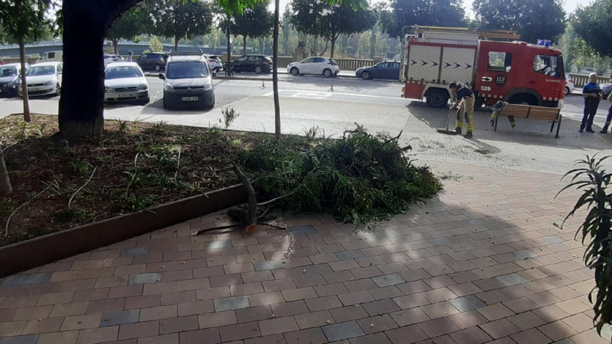 Els Bombers ahir a la plaça Pare Sanahuja.