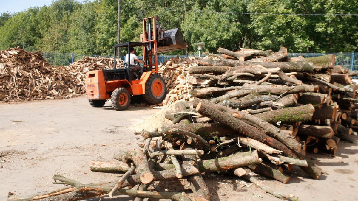 Crece la demanda de biomasa por culpa de la crisis energética y el sector reclama ayudas para evitar desabastecimiento