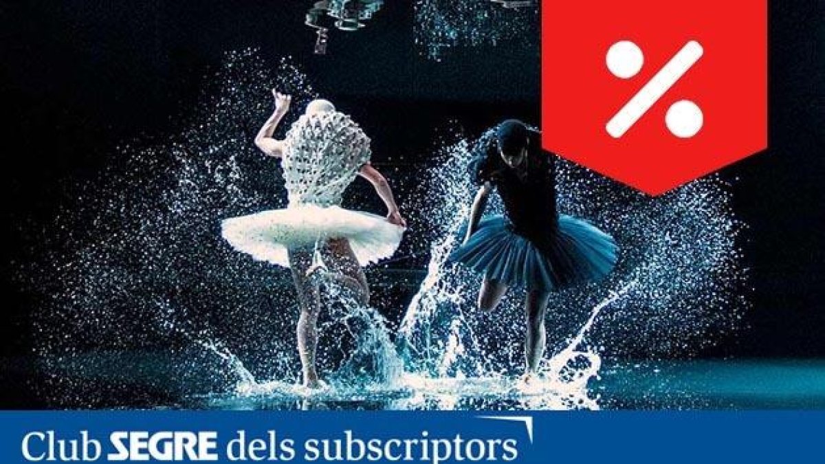 Proyección 'Un lago de los cisnes'