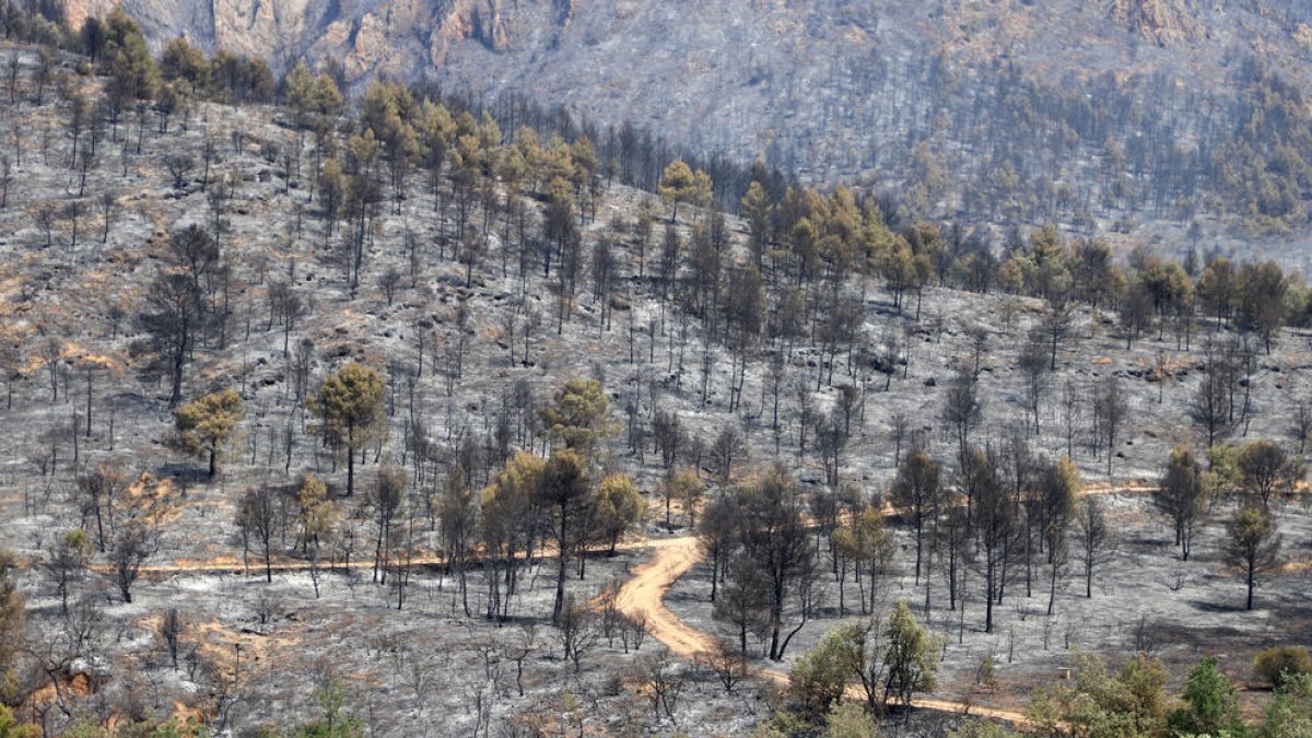 Els mitjans aeris van centrar els esforços en l’incendi de Lladurs, al Solsonès.