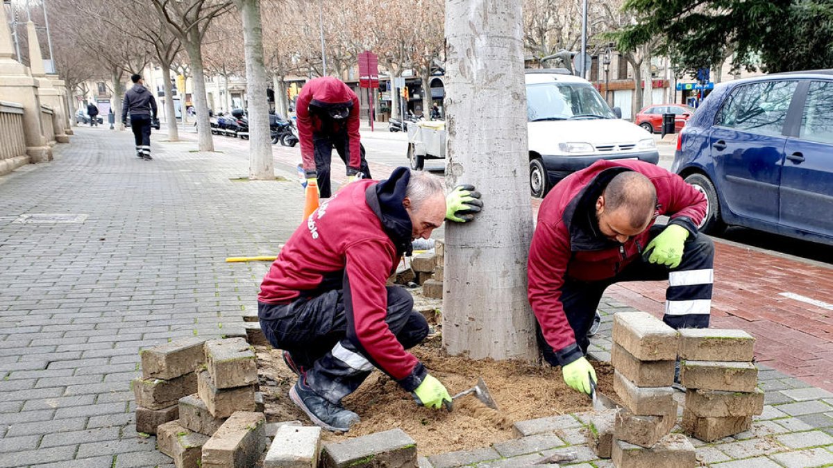 Un grup d’operaris renovant les rajoles de l’avinguda, ahir.