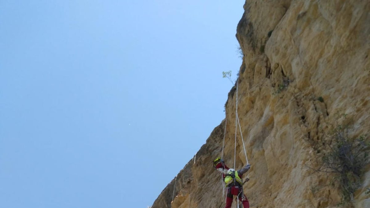 Trabajos de Infraestructures de Muntanya SL en Mont-rebei tras el alud de piedras de junio de 2019.