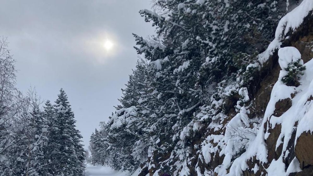 Tavascan obre divendres les pistes d'esquí alpí gràcies a les nevades de les últimes hores