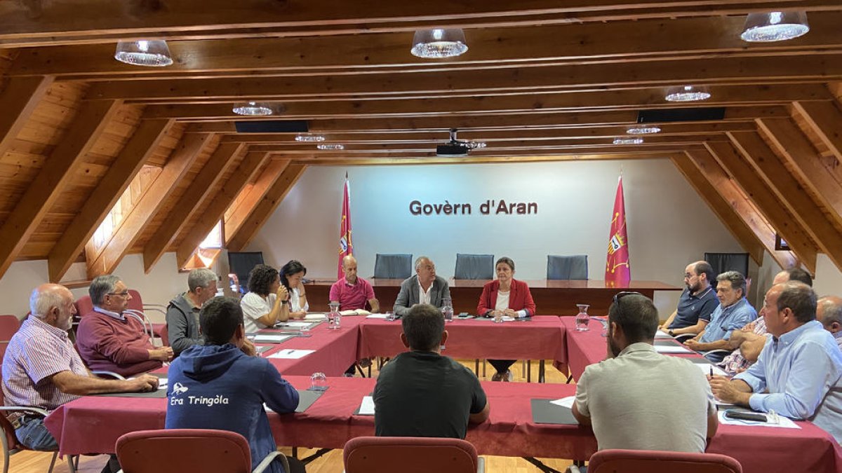 La taula amb sindicats, tècnics i associacions ramaderes.