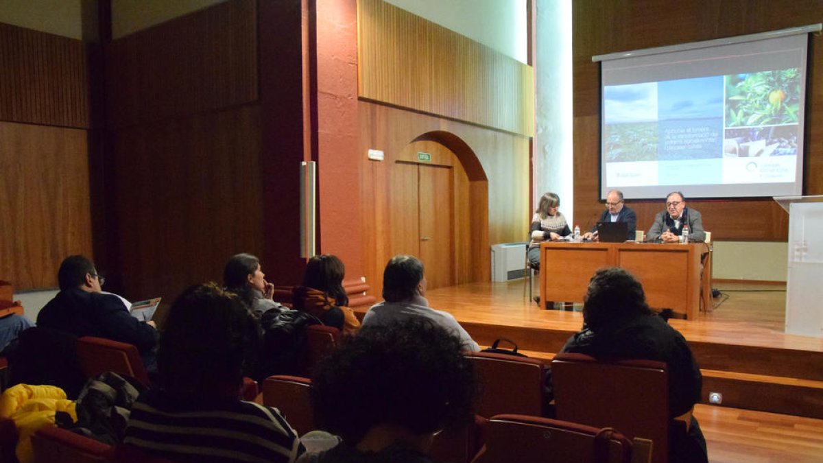 El Govern hizo la presentación de la ayudas en la sala de la Immaculada de La Seu d’Urgell.