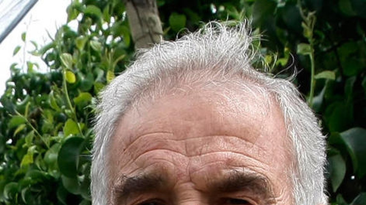 Erradicar la ‘Ceratitis’, un problema per resoldre