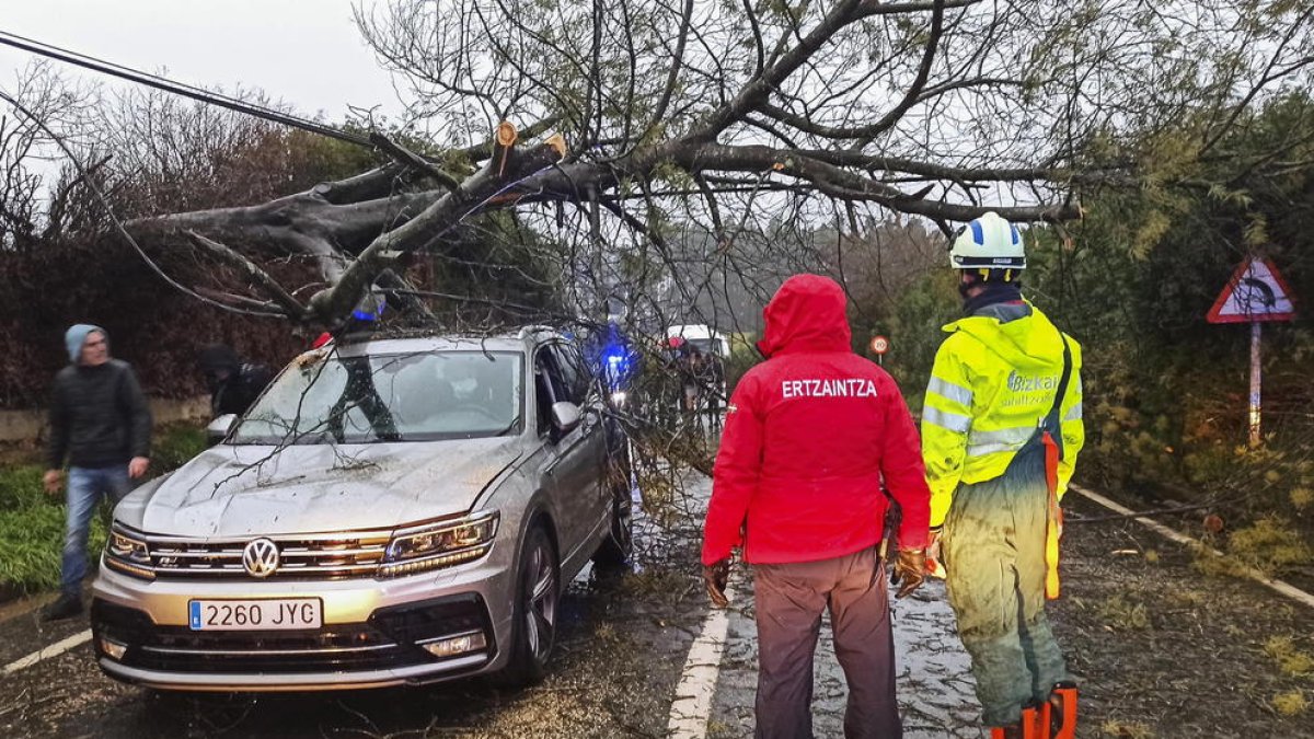 Los servicios de emergencia retiran un árbol caído sobre un turismo en Markaida, Bizkaia.