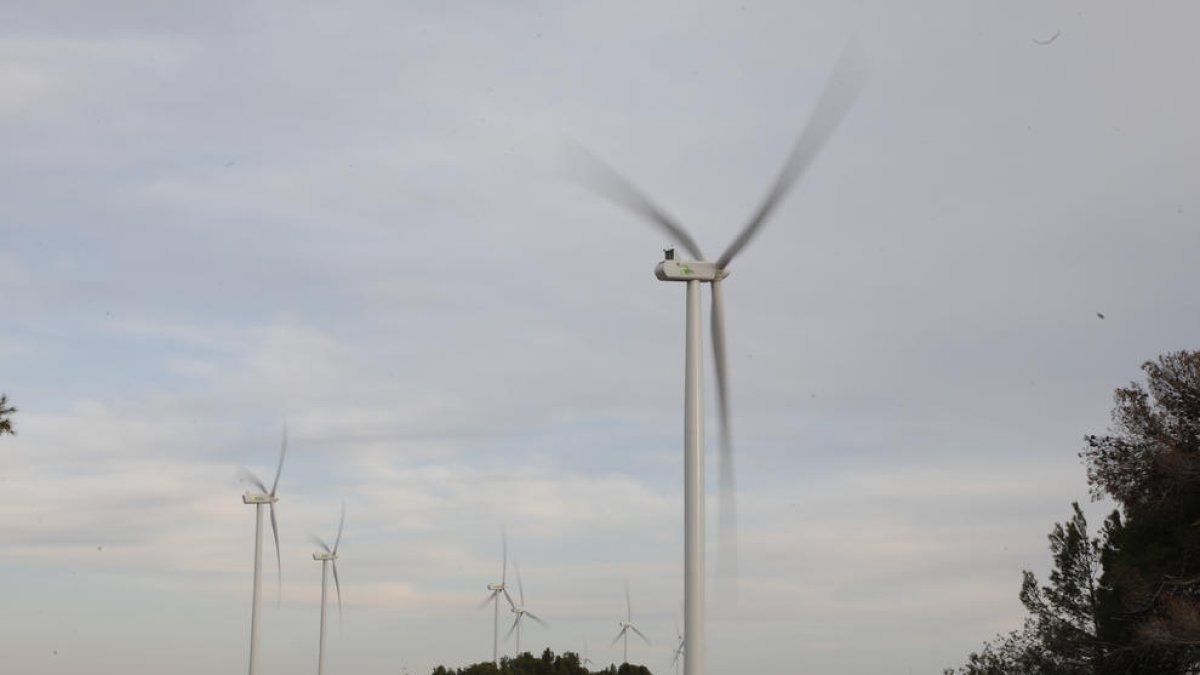 En funcionamiento el primer parque eólico en una década - Las aspas de los 20 molinos del parque eólico de Solans, entre Llardecans y La Granadella, comenzaron a funcionar ayer por la tarde tras tres años de obras. Es el primer parque eólico ...