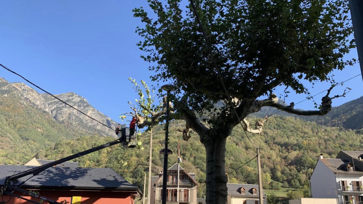 Treballs de poda de la travessia de l’N-230 a Bossòst.