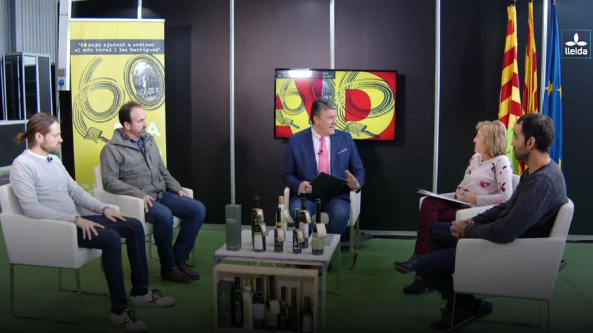 Especial Fira de l'Oli de les Borges Blanques a Lleida TV