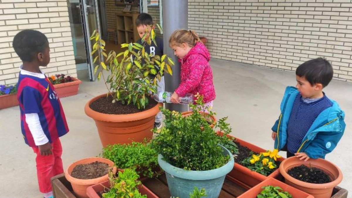 Alumnes reguen plantes amb l’aigua sobrant del dinar.