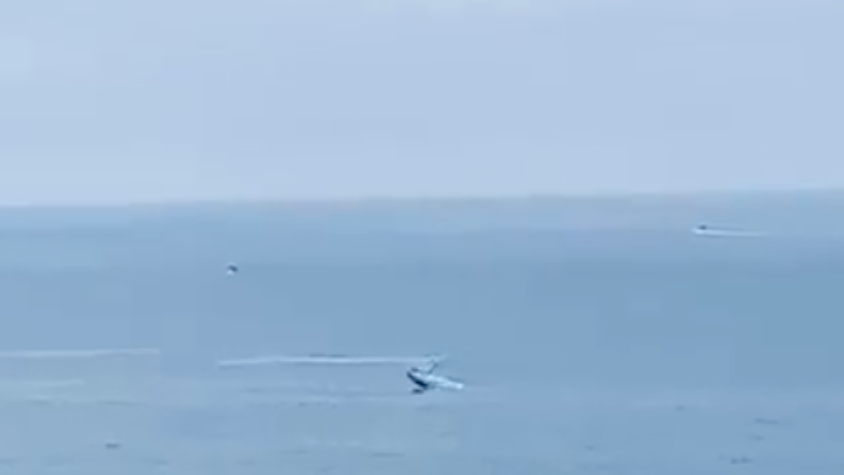 VIDEO: Avistan una ballena delante de la costa de Pals