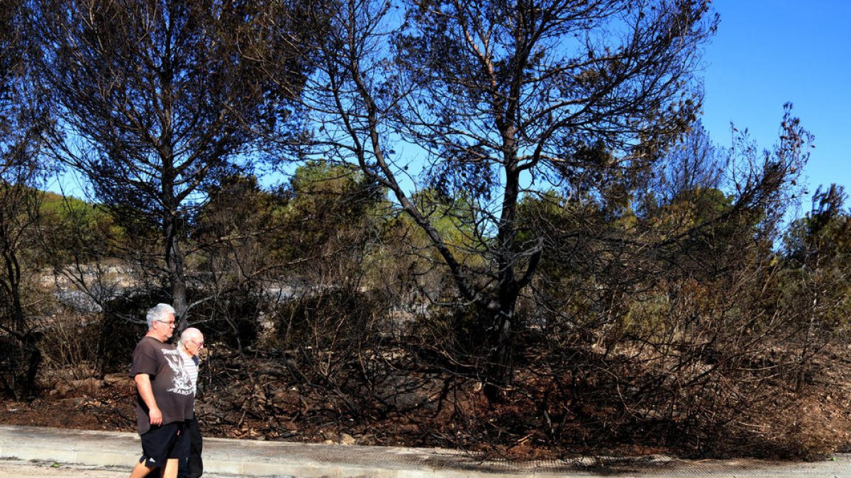 Veïns de Calafell passegen al costat d’una zona calcinada pel foc.