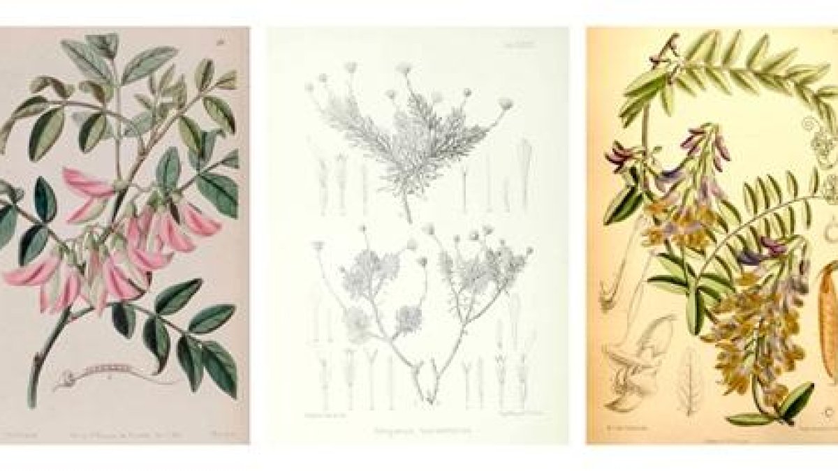 Investigadors fan els primers passos per a