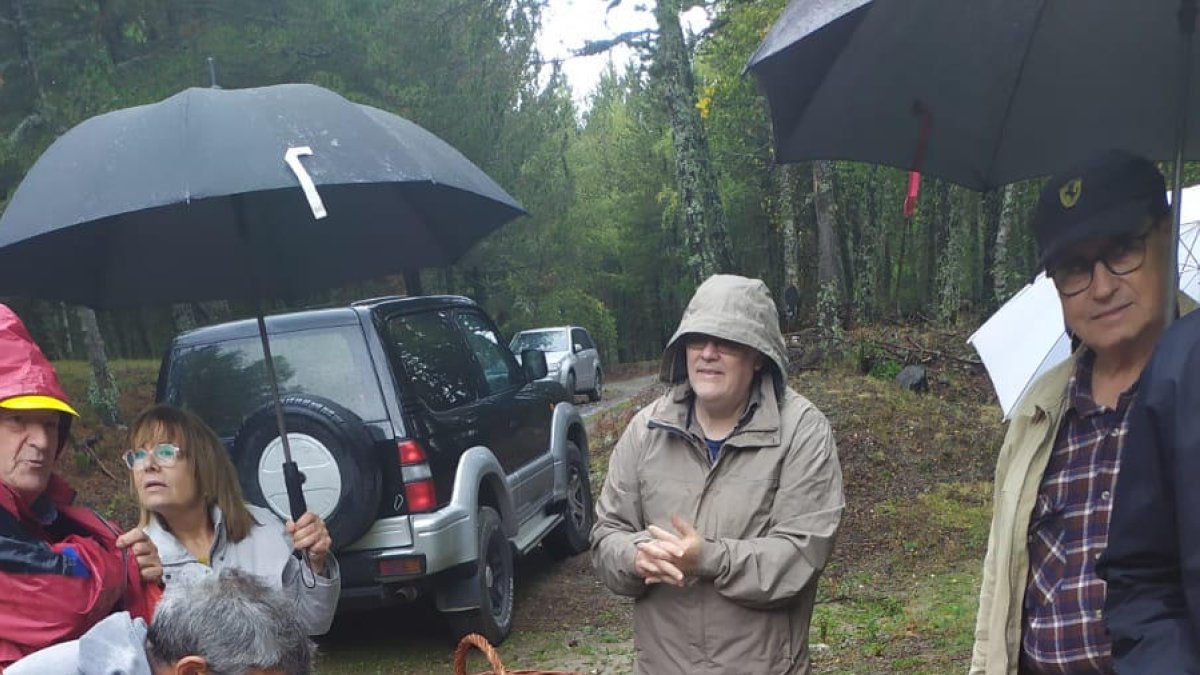 Algunas de las setas que se recolectaron ayer en Esterri.