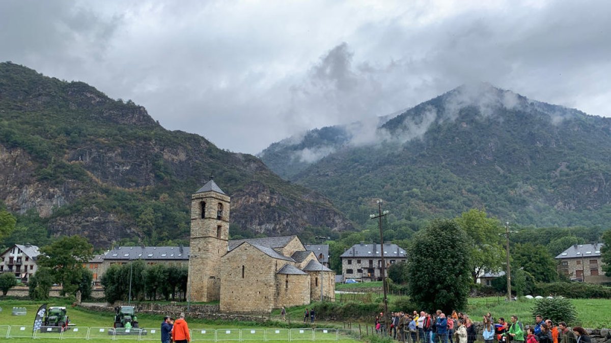 Demostración del trabajo de los perros en el manejo de animales.
