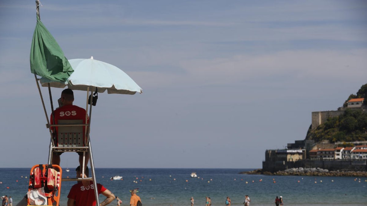 Meduses, peixos aranya, fideus de mar... Els metges alerten de riscos de la fauna marina
