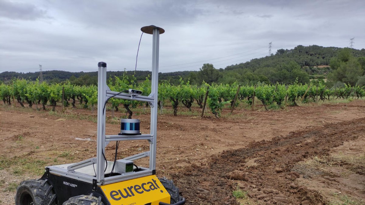 Robòtica i automatització,claus per a la competitivitatdel sector agrícola