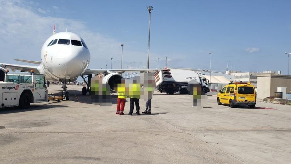 Un avió xoca contra un camió a l'aeroport del Prat