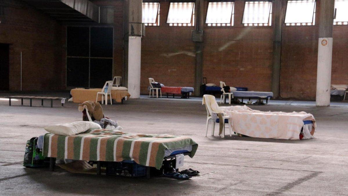 Cauen un 17,5% les persones ateses al dispositiu d'acollida a temporers de Lleida respecte a l'estiu passat