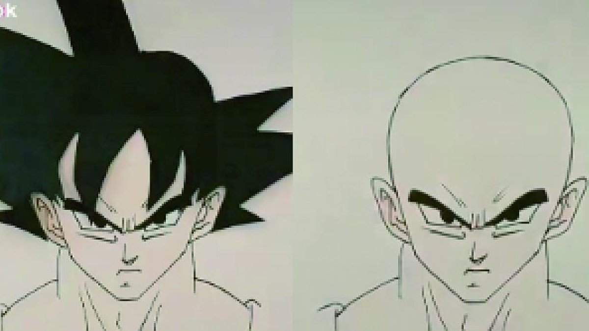 Espera... Goku i Vegeta són el mateix?