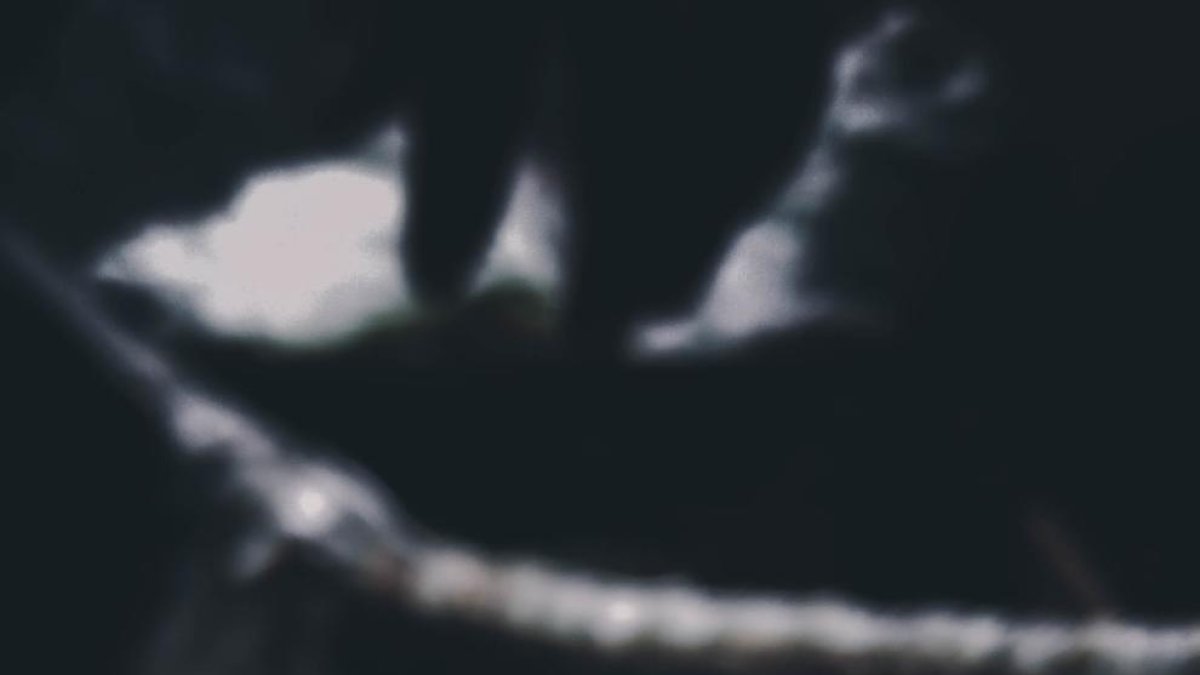 I aquests sorolls de bales de vidre dels veïns?