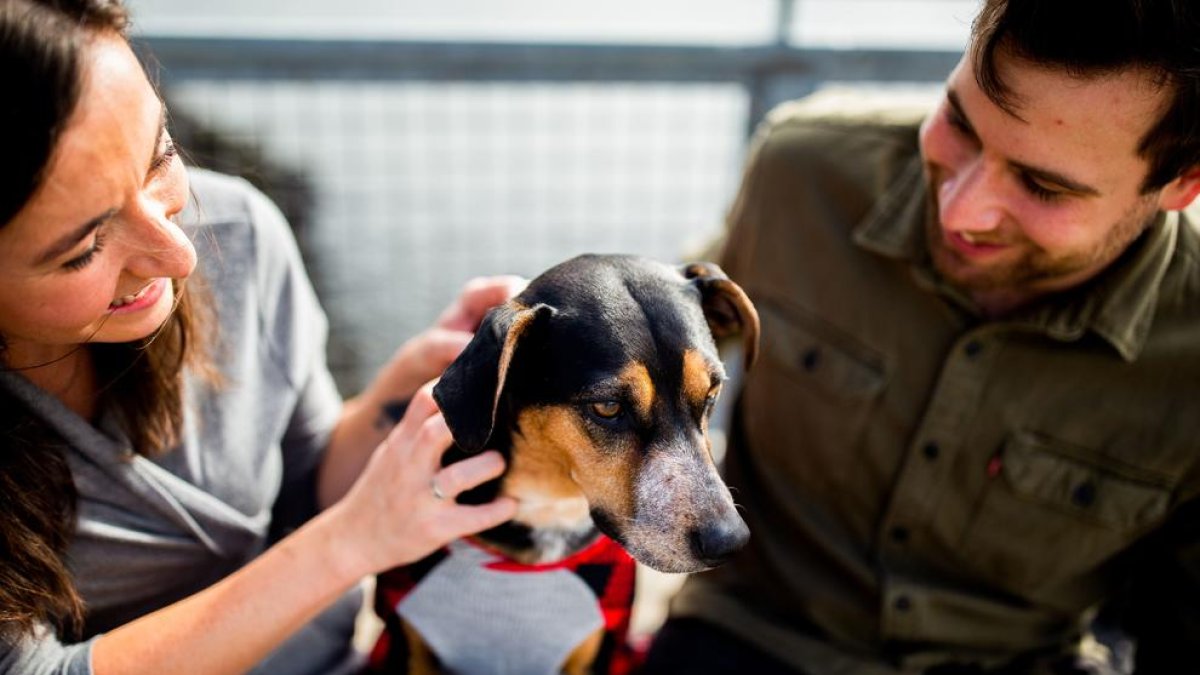 ¿Quién conecta mejor con los perros? ¿Hombres o mujeres?
