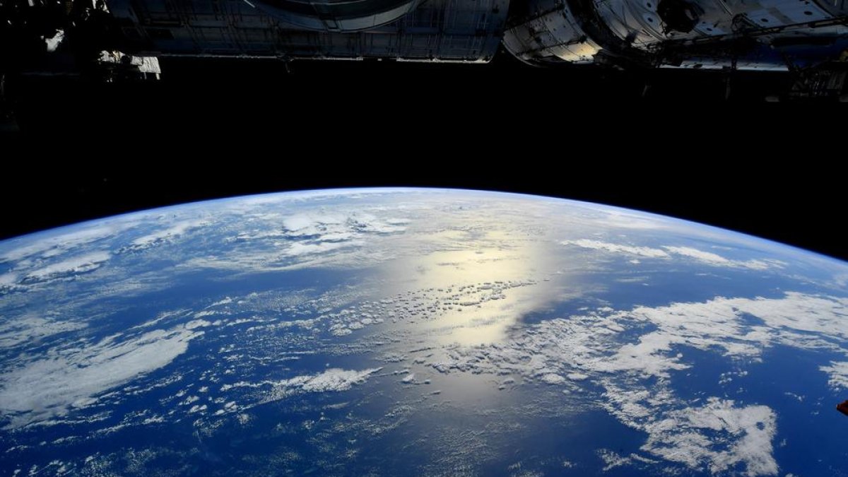 Els oceans de la Terra, una frontera encara no explorada i plena de vida