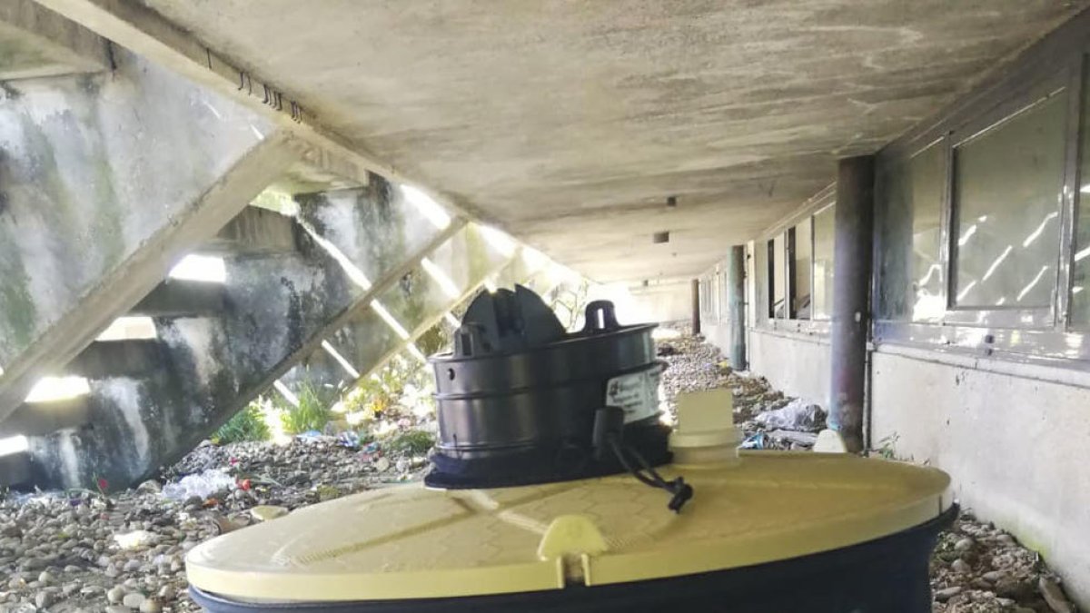 Así son las trampas que han colocado en Pontevedra para cazar a los mosquitos tigre