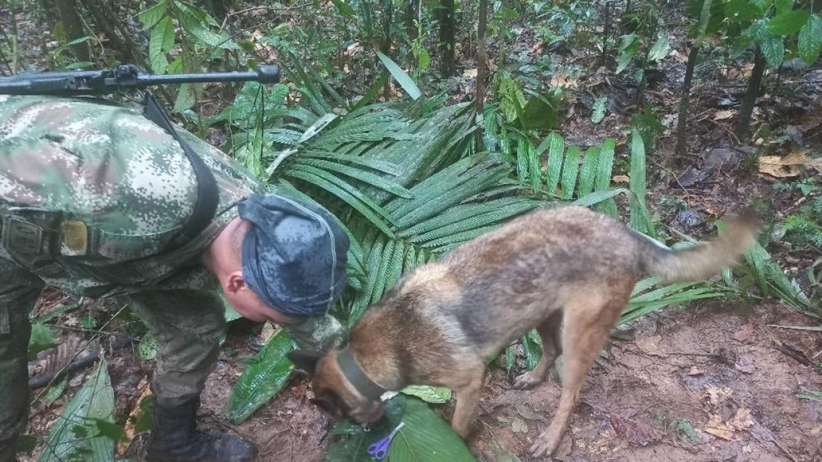 Trobats amb vida tres nens i un nadó desapareguts fa més de dos setmanes a la selva de Colòmbia