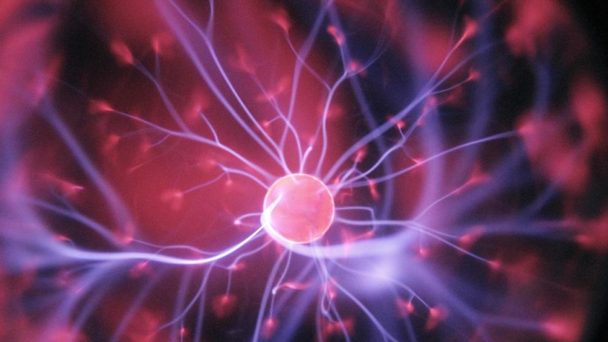 Un estudi estableix una relació entre l'edat biològica i l'envelliment del cervell