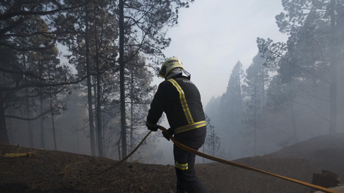 Un bomber de Güímar al bosc de Las Raíces.