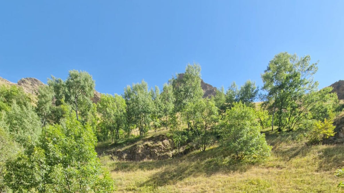 Turistas israelíes de pícnic en el Pirineo el pasado fin de semana.